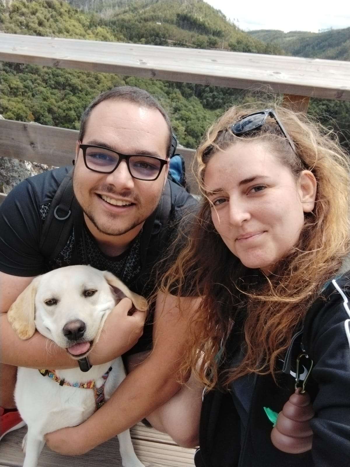 Bark Not Bite - Torres Novas - Pet Care and Grooming