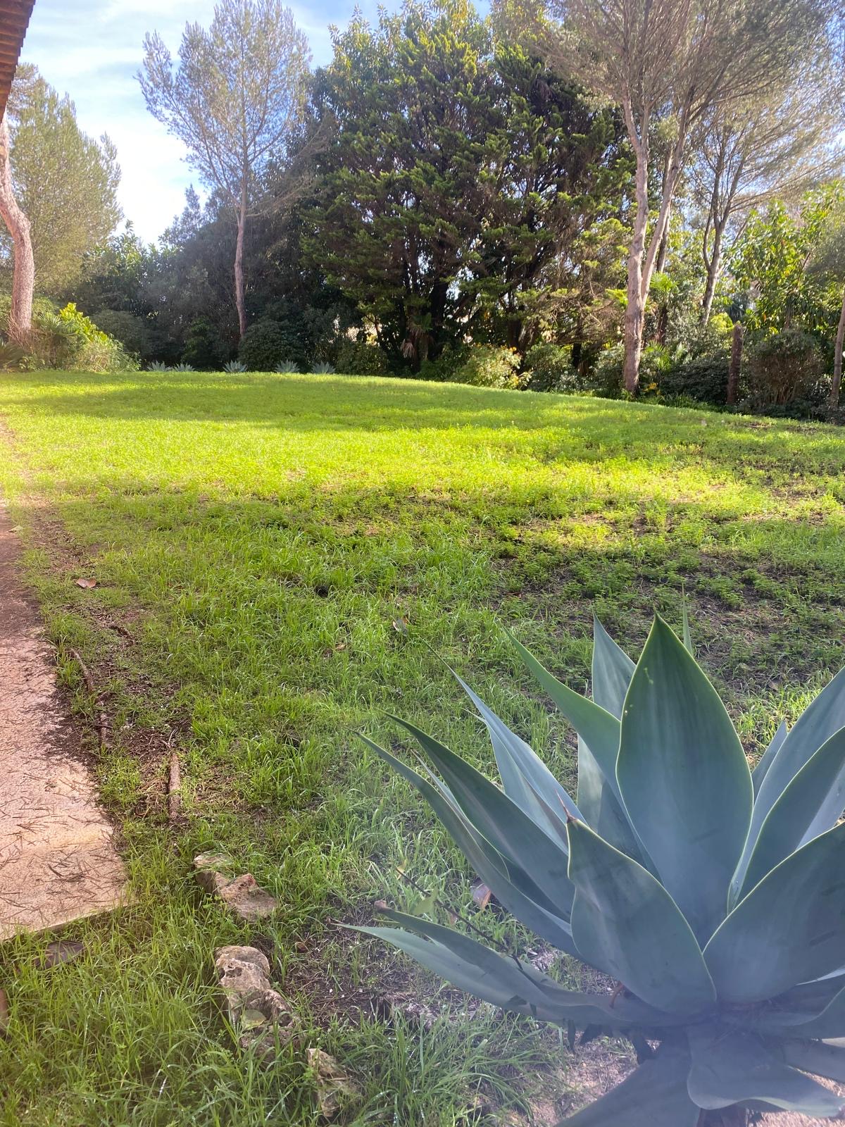 aa.jardins - Cascais - Nivelação de Terreno - Grande Dimensão (mais de 1 hectar)