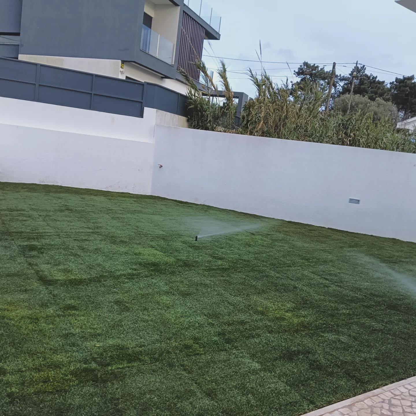 Fabio - Seixal - Shrub Removal