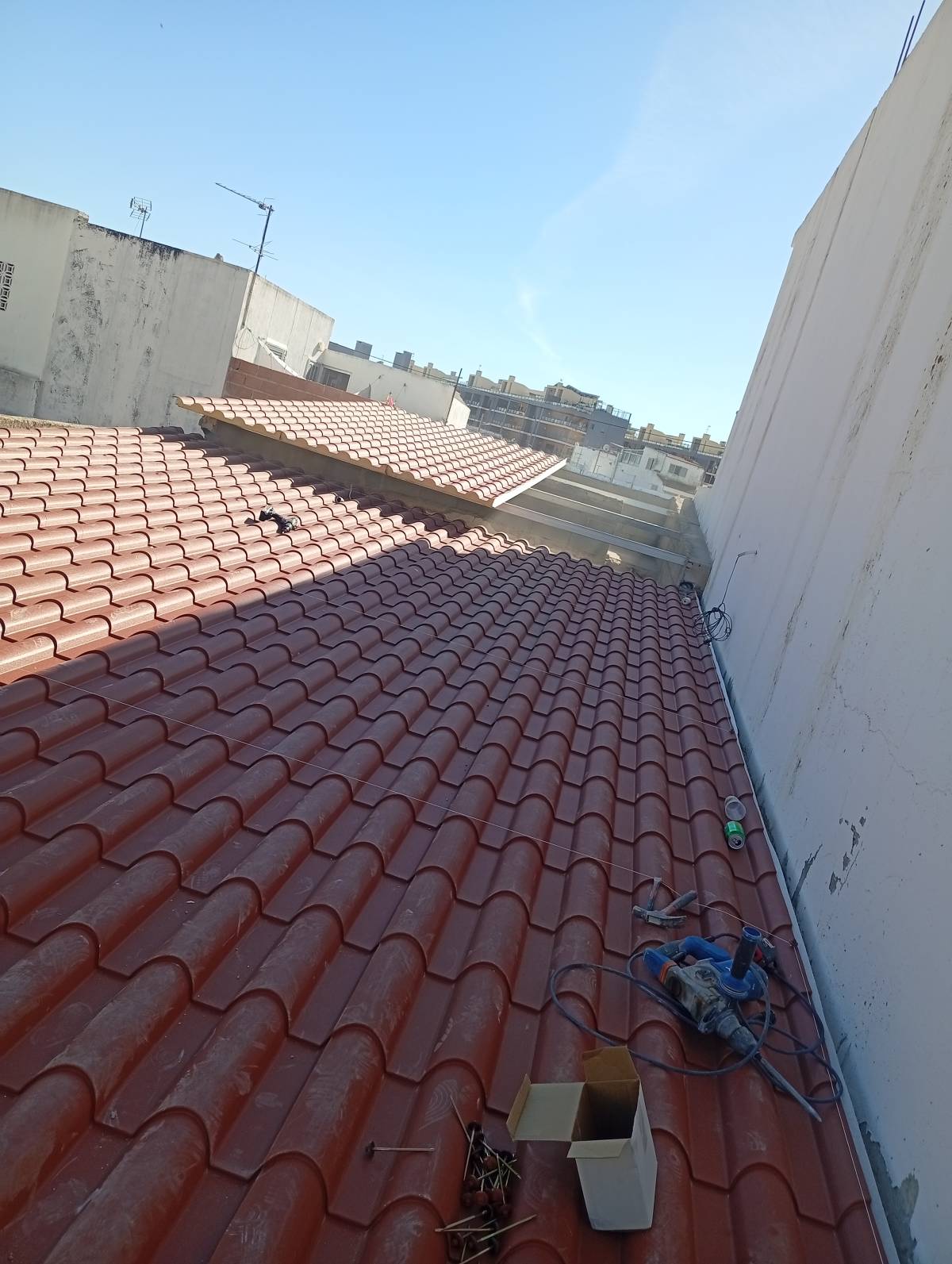 Rafael gonzaga souza - Albufeira - Tree Trimming and Maintenance