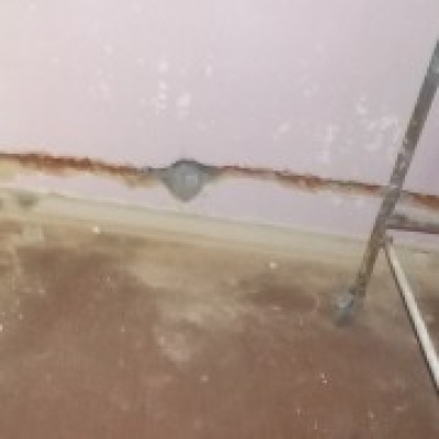 R.X.L Reparação e Recuperação LDA - Moita - Reinigung und Instandsetzung nach einem Wasserschaden