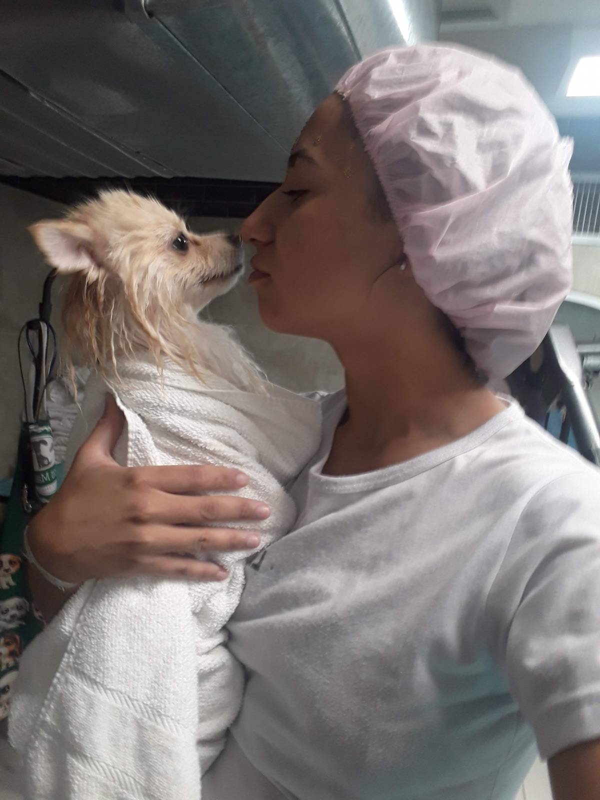 Tia dos PETS - Lisboa - Baths and Grooming for Animals