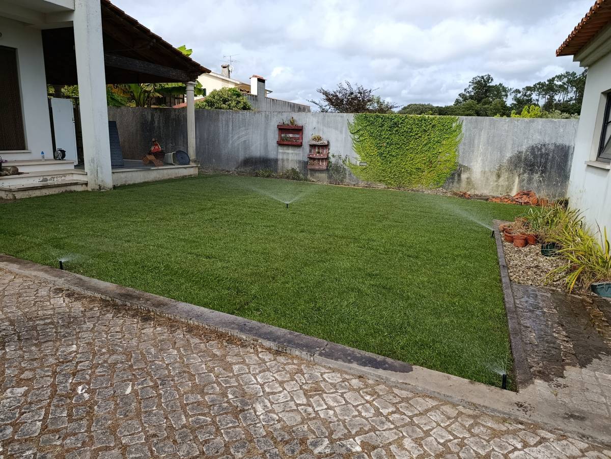 Jorge Barata - Mira - Instalação de Tapete de Relva