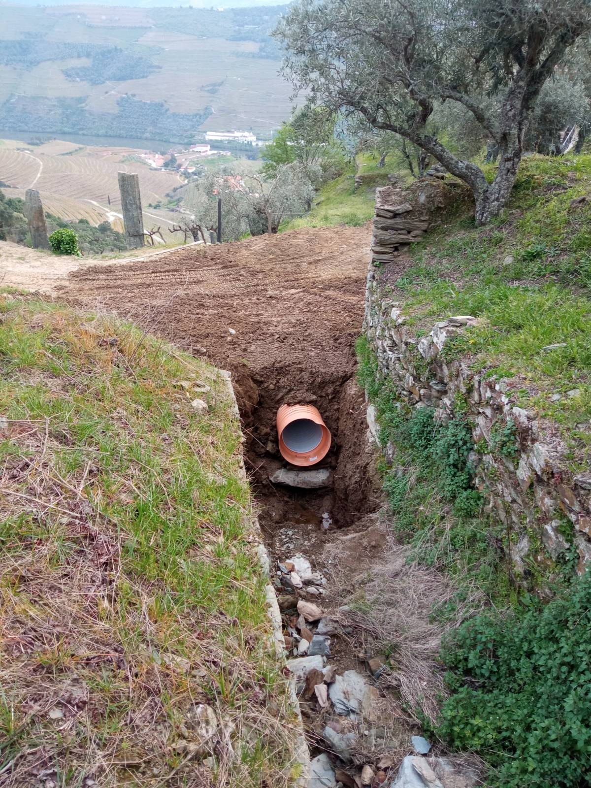 Limpeza Verde unipessoal lda - Alijó - Corte de Betão