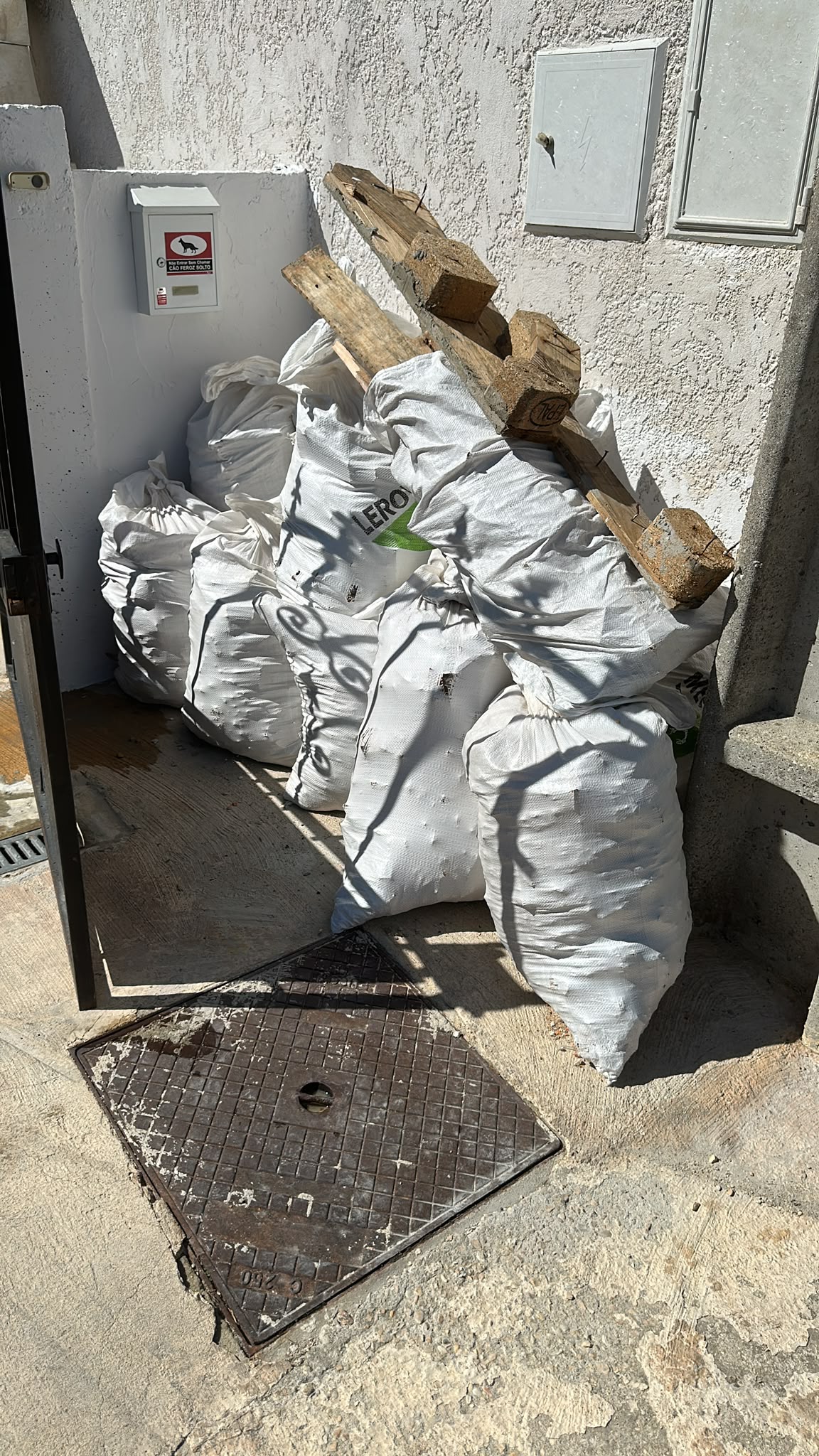 Deita Entulhos - Figueira da Foz - Baumpflege