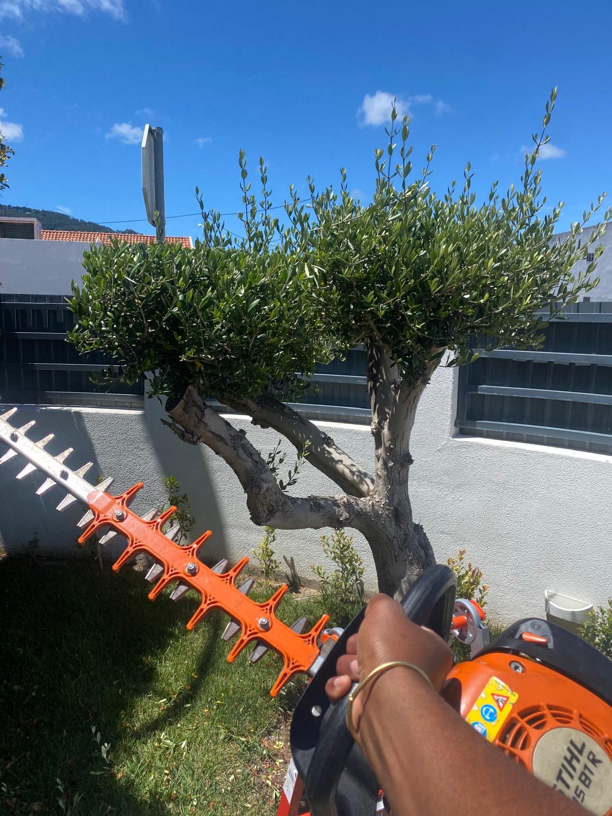 aa.jardins - Cascais - Swimming Pool Repair