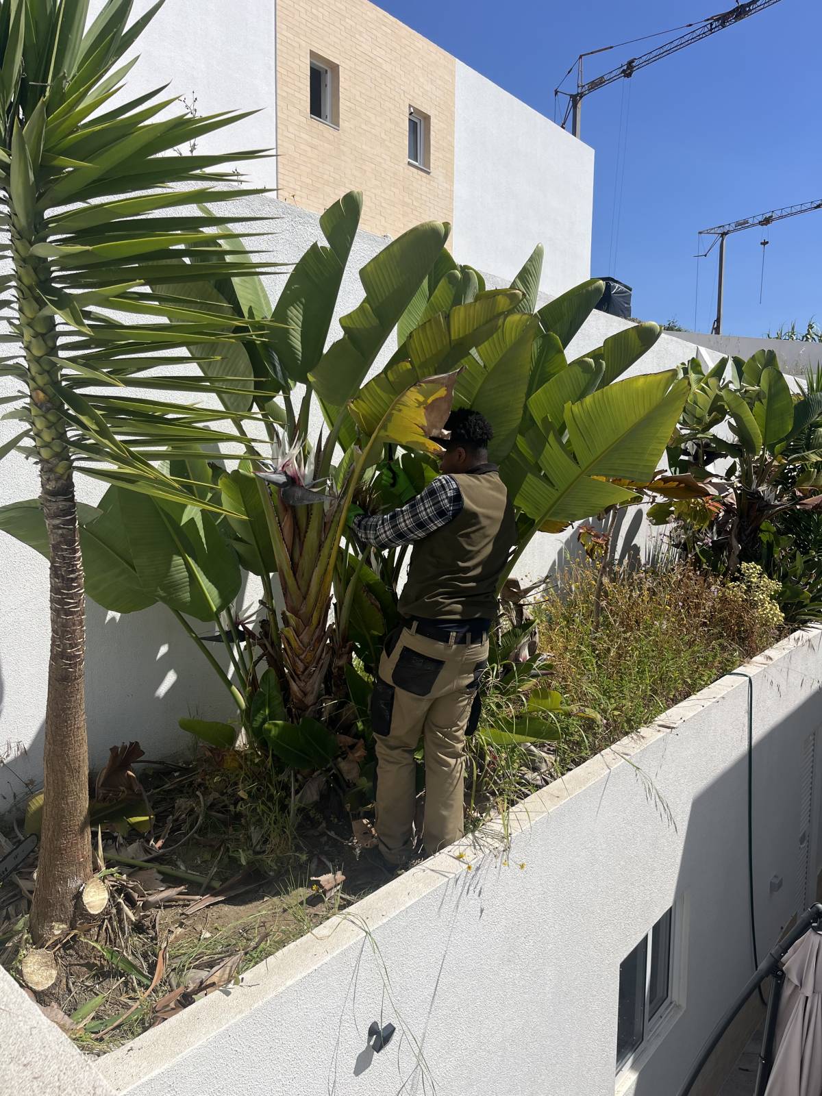 aa.jardins - Cascais - Caulking