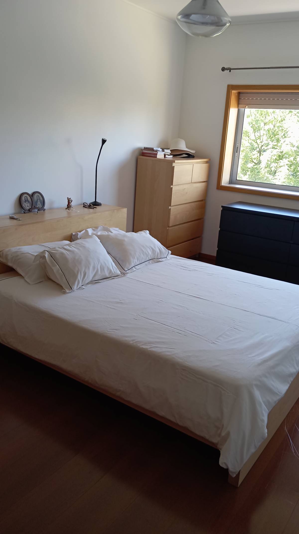 Tudo Novo - Braga - Property Cleanup