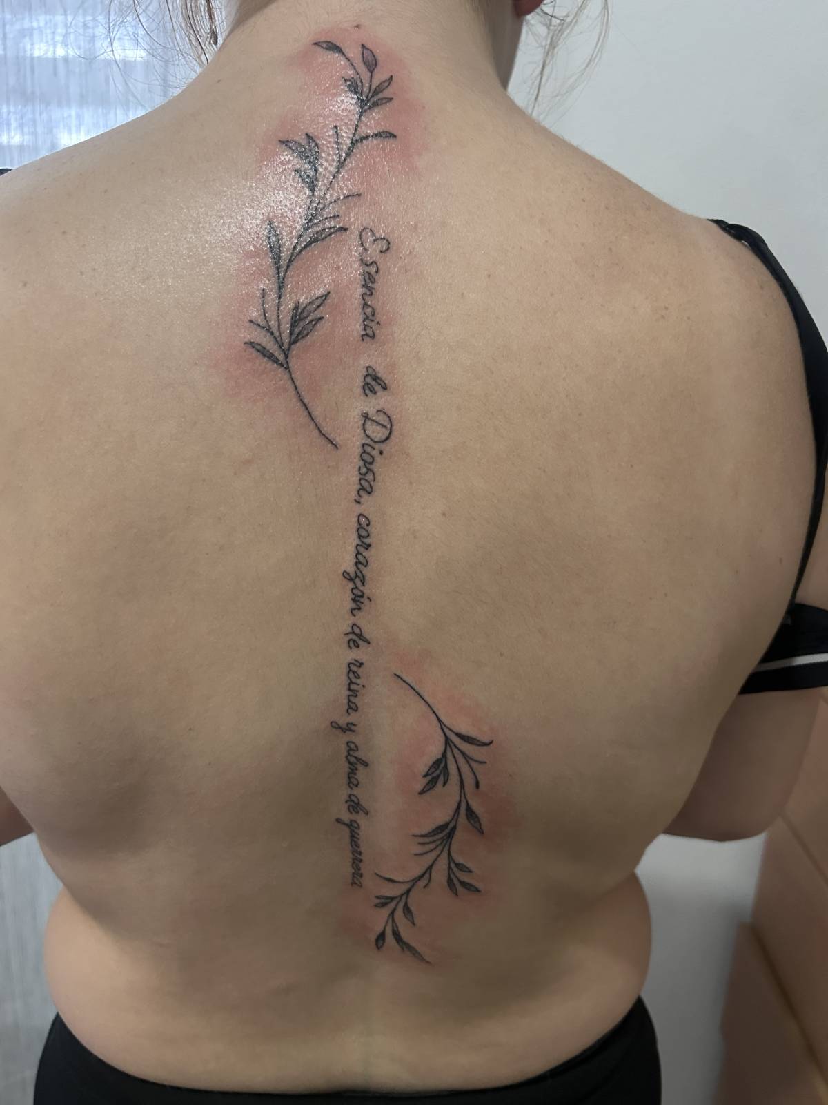 Ink Garden - Mora - Außenanstrich