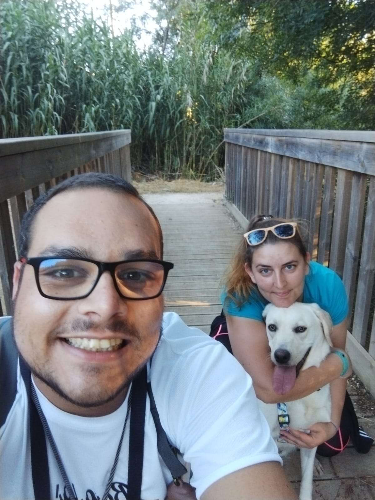 Bark Not Bite - Torres Novas - Dog Training - Private Lessons