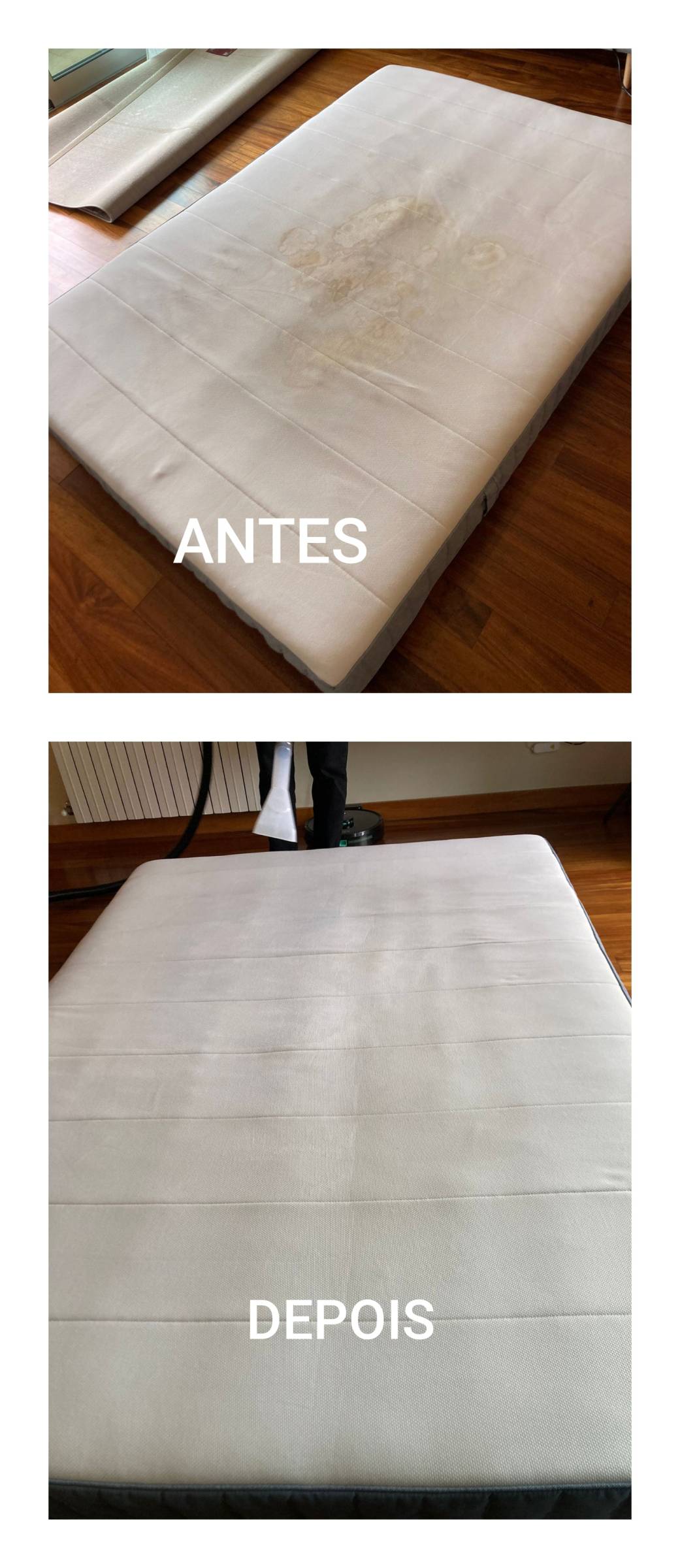Tudo Novo - Braga - Property Cleanup