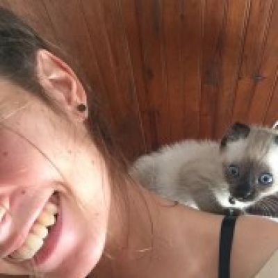 Leonor - Almada - Pet Hotel