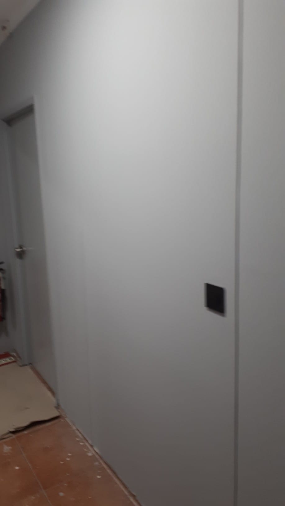 English Speaking - Handyman Services - Paços de Ferreira - Dachreinigung