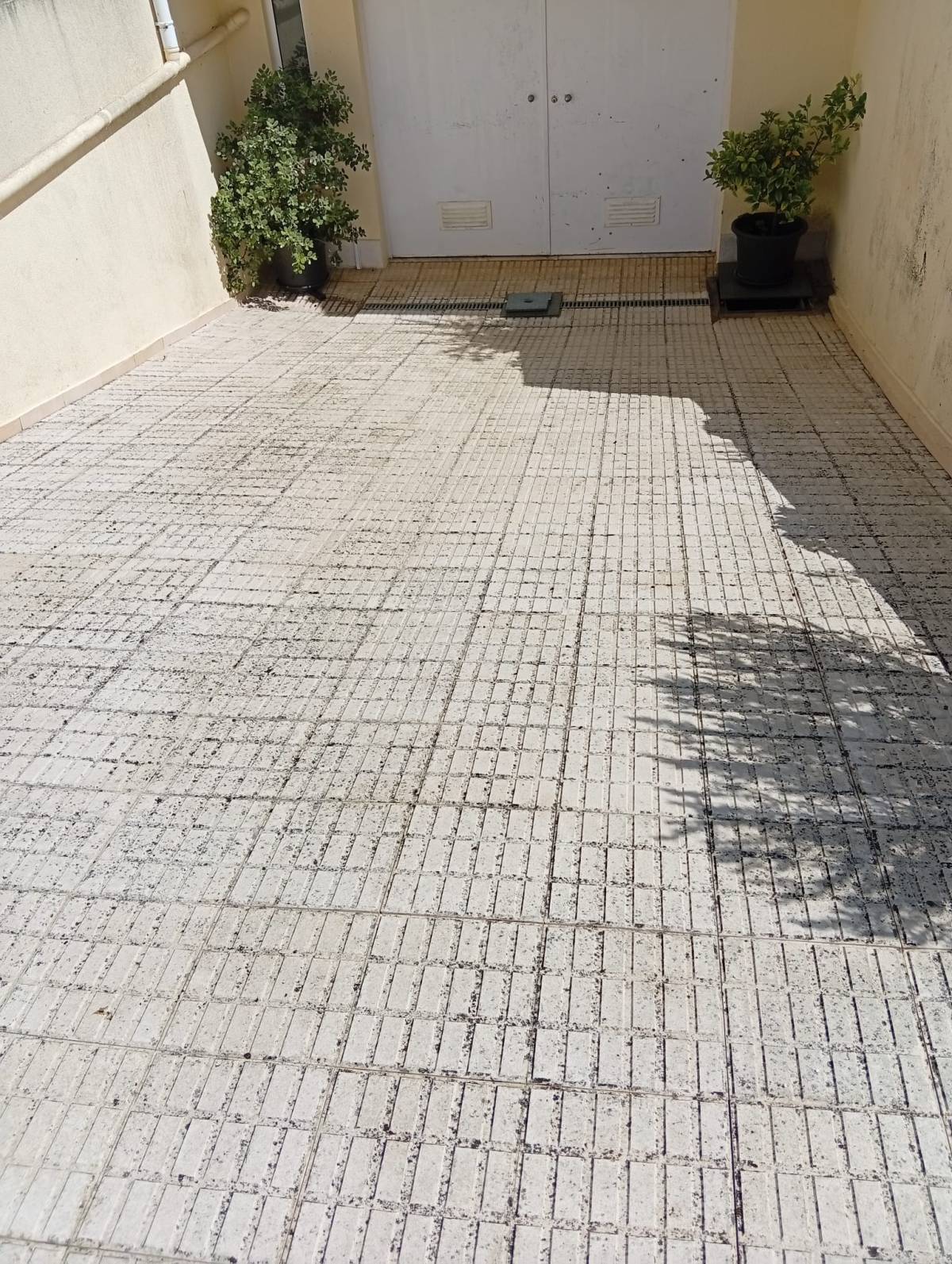 TOMAS MATIAS - Moita - Construção de Parede Interior