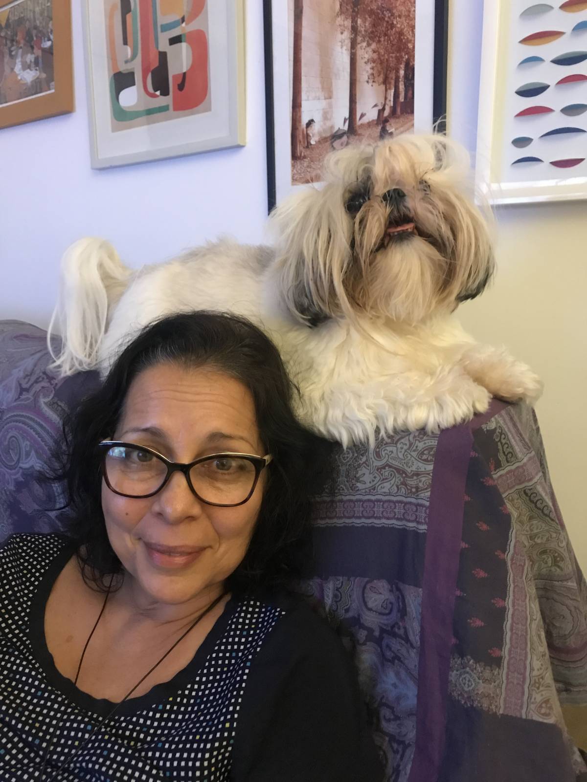 Norma - Braga - Cuidado y peluquería para mascotas