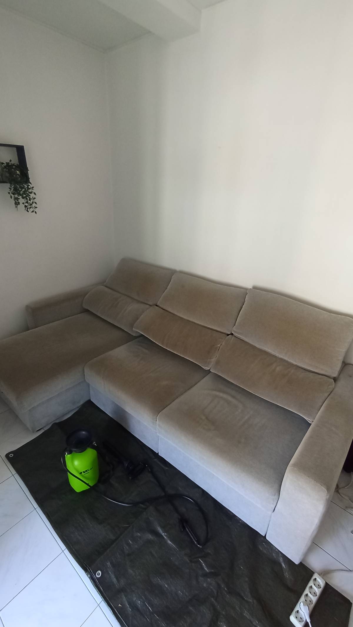 Tudo Novo - Braga - Deep or Spring Cleaning