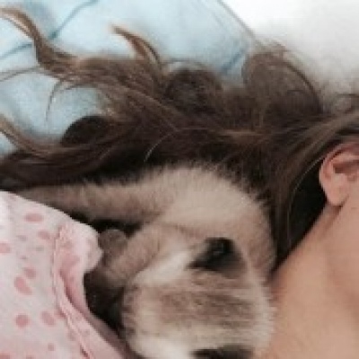 Leonor - Almada - Dog Daycare