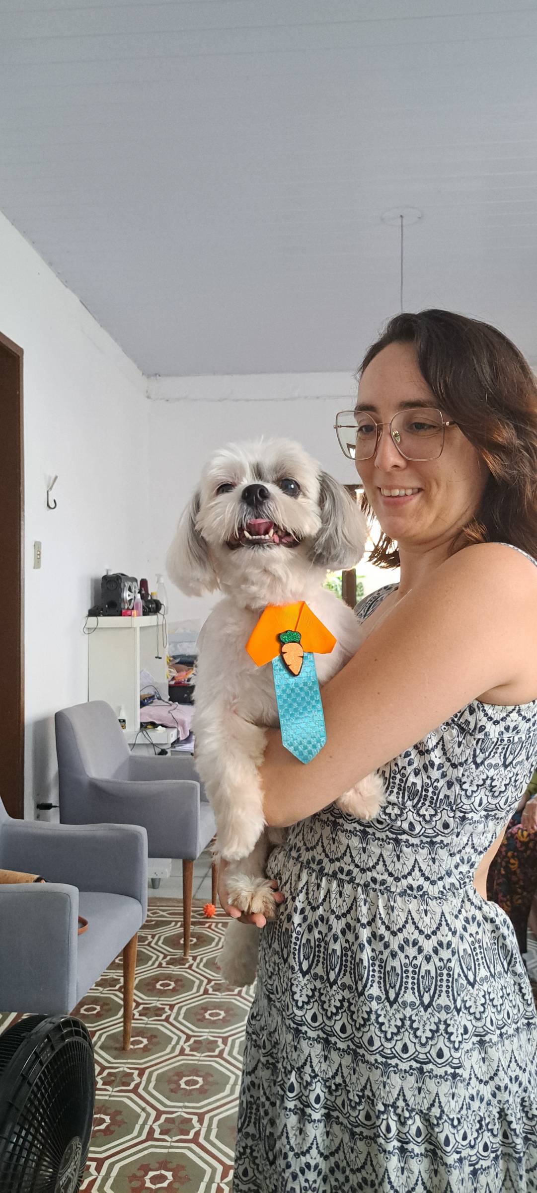 Jacke Lima Services - Faro - Cat Sitting