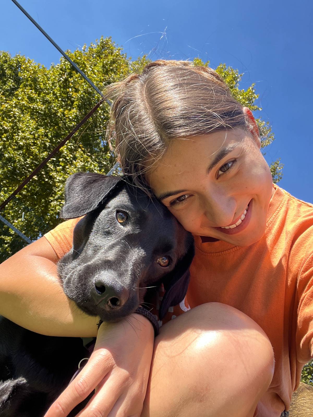 Daniela Silva - Barcelos - Dog Training - Private Lessons