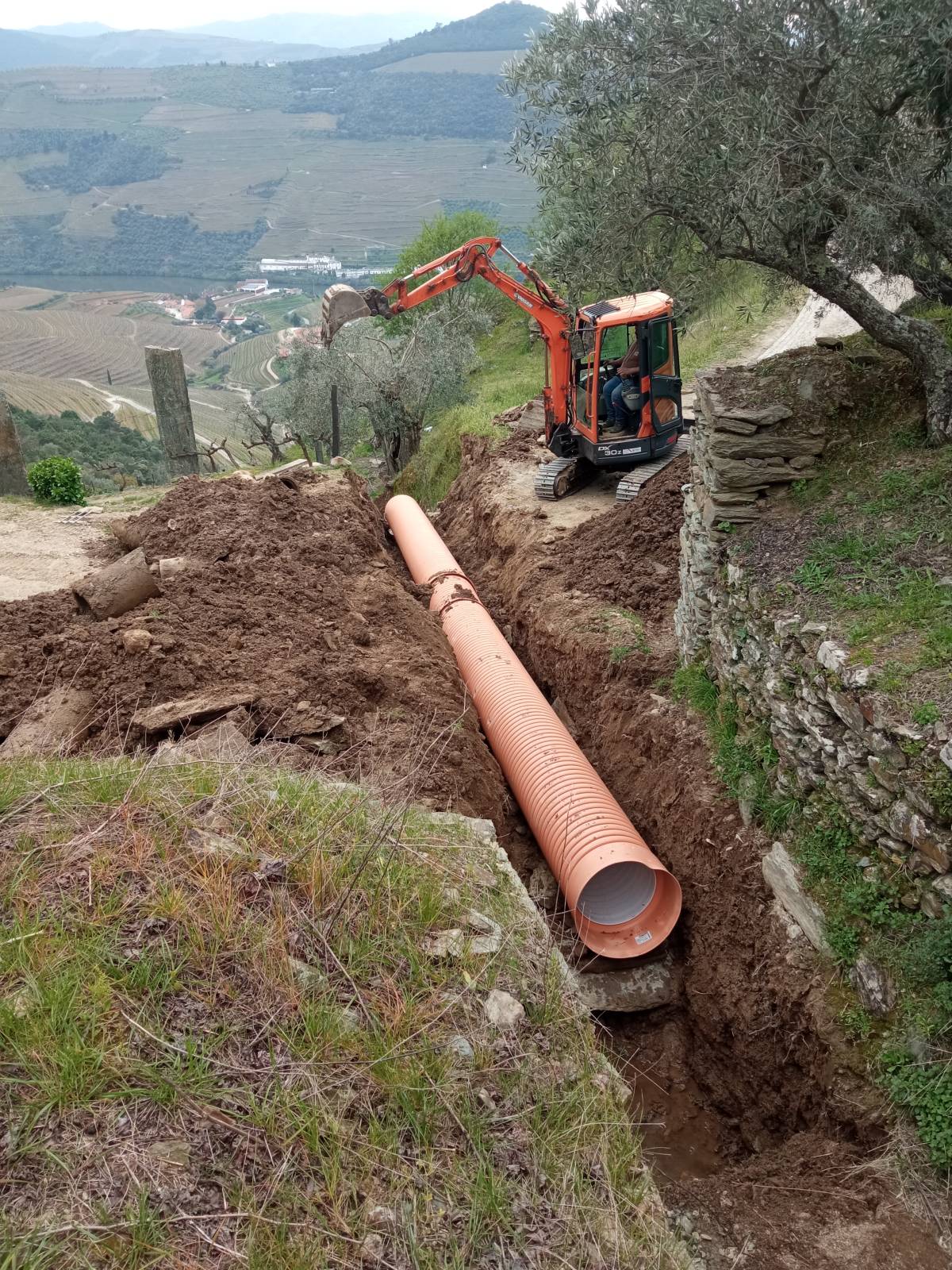 Limpeza Verde unipessoal lda - Alijó - Remoção de Tronco de Árvore