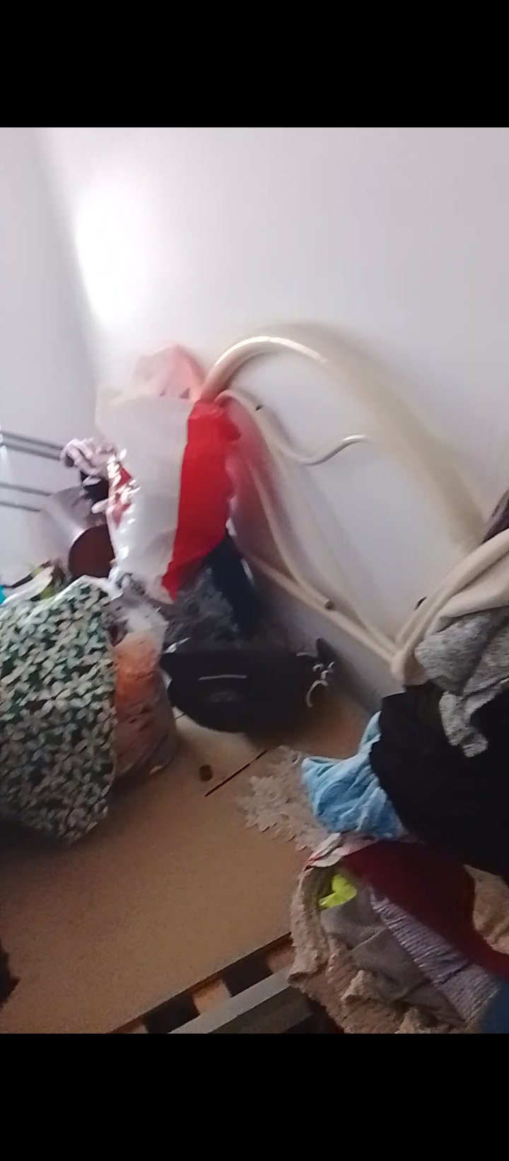 Clean excelência - Odivelas - Organizador del hogar