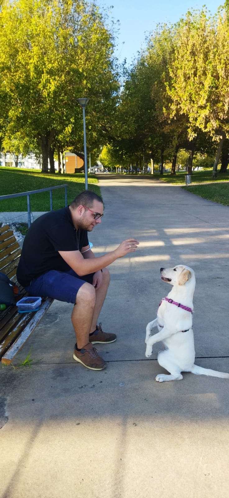 Bark Not Bite - Torres Novas - Treino de Cães