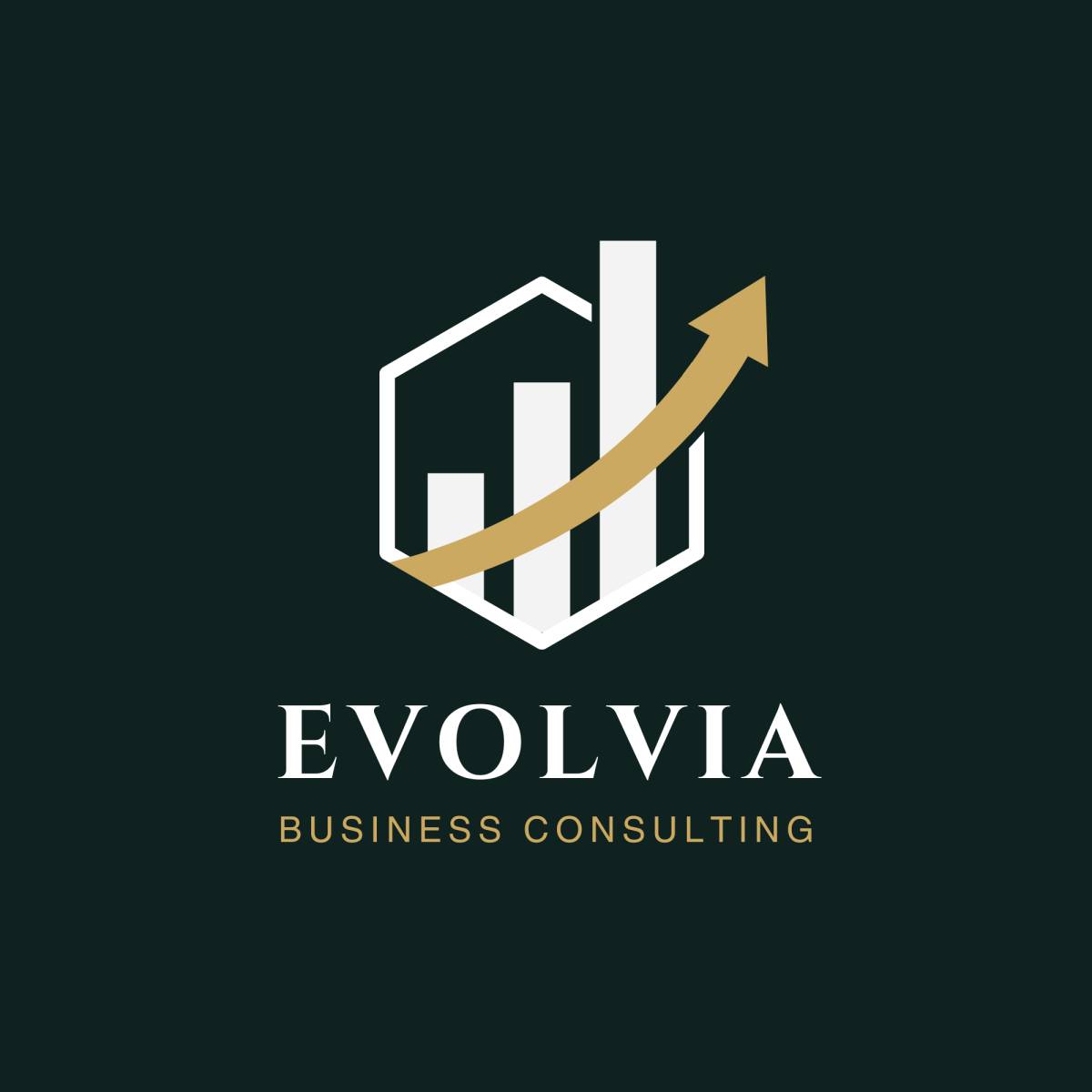 Evolvia Business Consulting - Ovar - Statistische Analyse