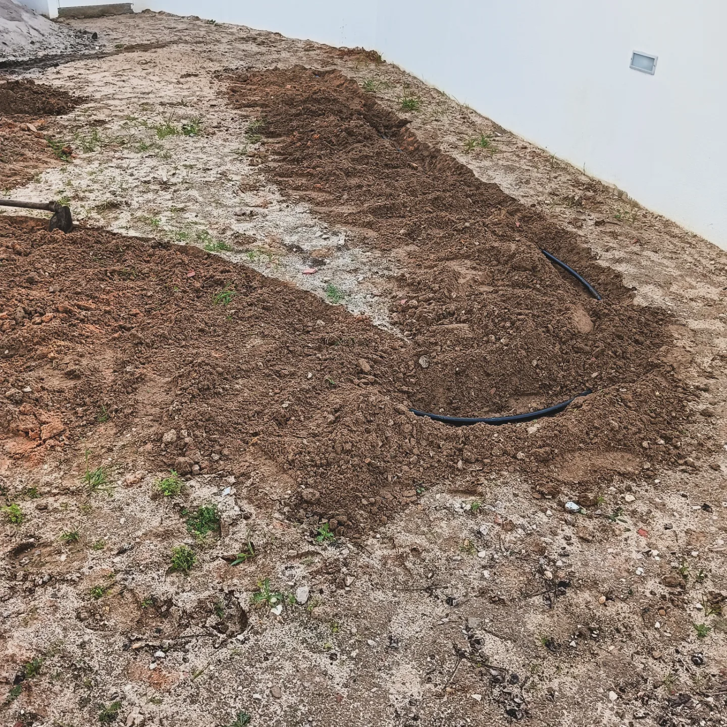 Fabio - Seixal - Gardening