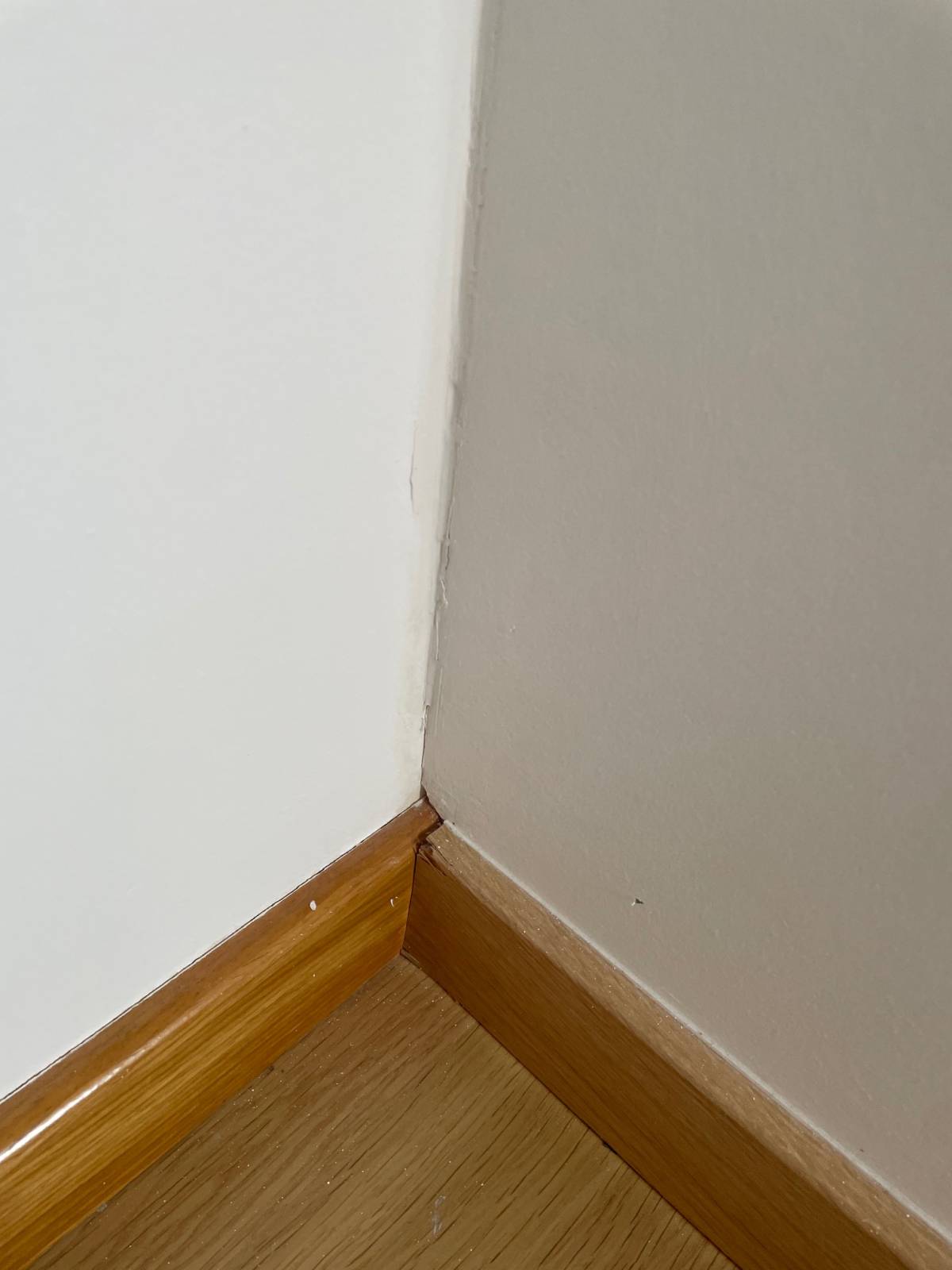 Drywall specialist - Home Improvements