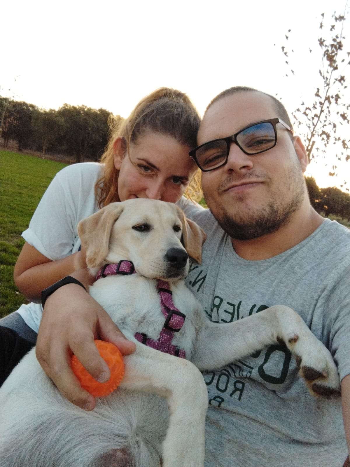 Bark Not Bite - Torres Novas - Pet Training