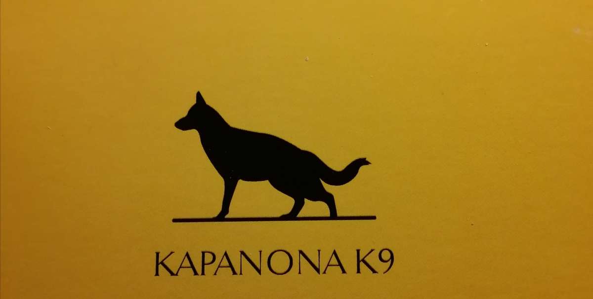 KapaNonaK9 - Cadaval - Hotel e Creche para Animais