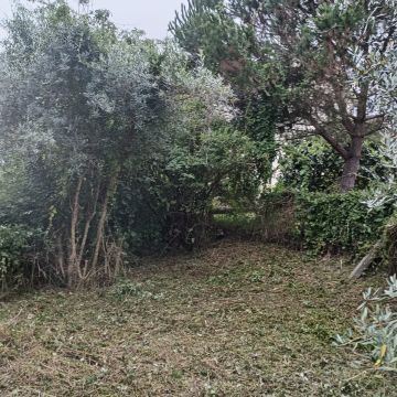 Limpamato - Coimbra - Deshierbo