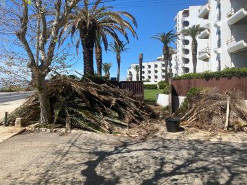 aa.jardins - Cascais - Siding Installation, Repair, or Removal