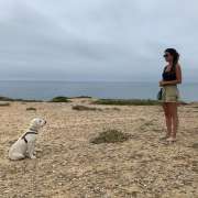 Cão Maneiras - Sintra - Dog Walking