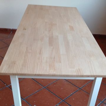 Carlos Prazeres - Almeirim - Handyman