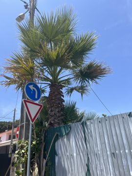 aa.jardins - Cascais - Plumbing