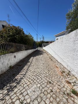 Serviço de Jardinagem
