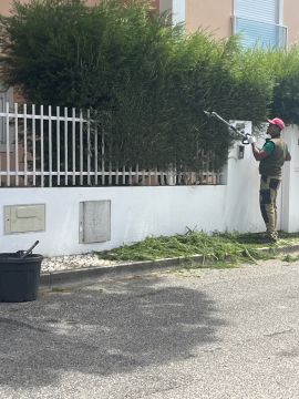aa.jardins - Cascais - Exterior Painting