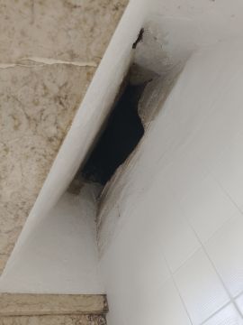 Limpieza de chimeneas