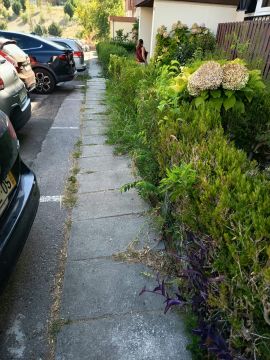 Jardinagem