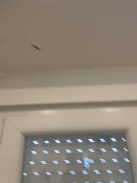 Manitas