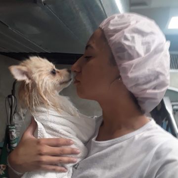 Tia dos PETS - Lisboa - Baths and Grooming for Animals
