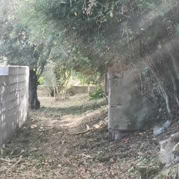 Limpamato - Coimbra - Trituración y eliminación de tocones
