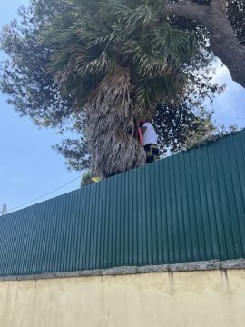 aa.jardins - Cascais - Artificial Turf Installation