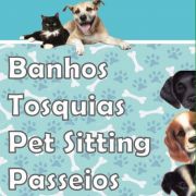 Tosquias e Pet Sitting - Flávia Carneiro - Santarém - Dog Sitting