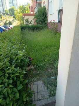 Serviço de Jardinagem