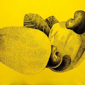 Pablo Coêlho - Seixal - Drawing Lessons