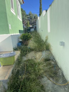 Serviço de Jardinagem
