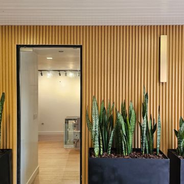 Rex - Renovation Experts - Oeiras - Remodelação de Casa de Banho