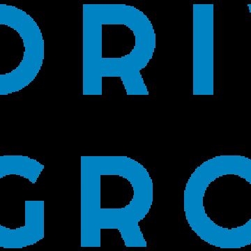 Driving Growth - Porto - Consultoria Empresarial